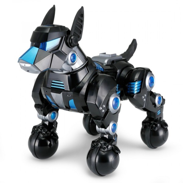 black robot dog