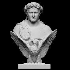 Napoleon Bonaparte wydrukowany w 3D