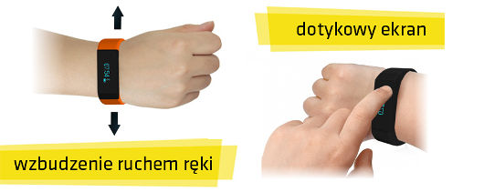 Główne cechy