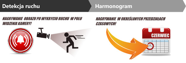 Tryb detekcji ruchu oraz harmonogramu